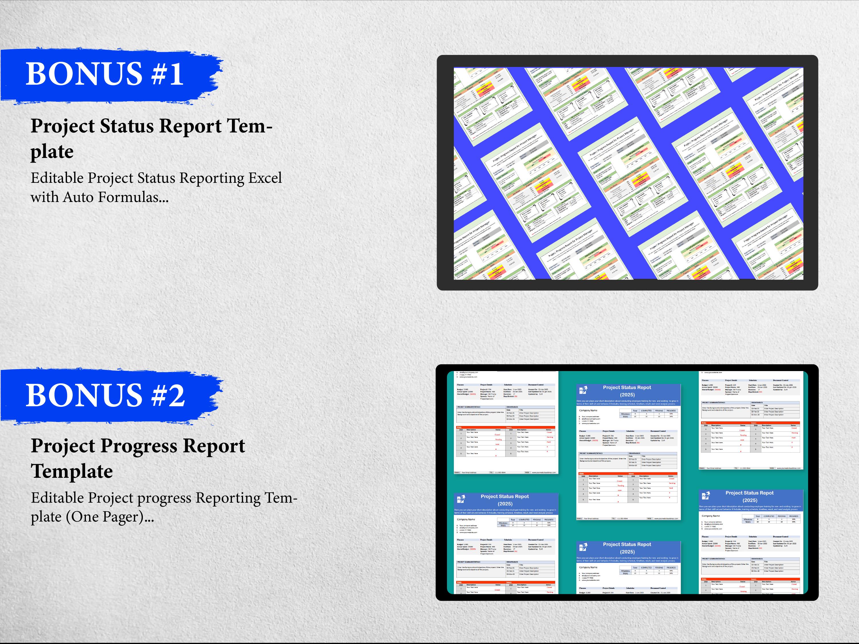 8+ Project Charter Templates MOT