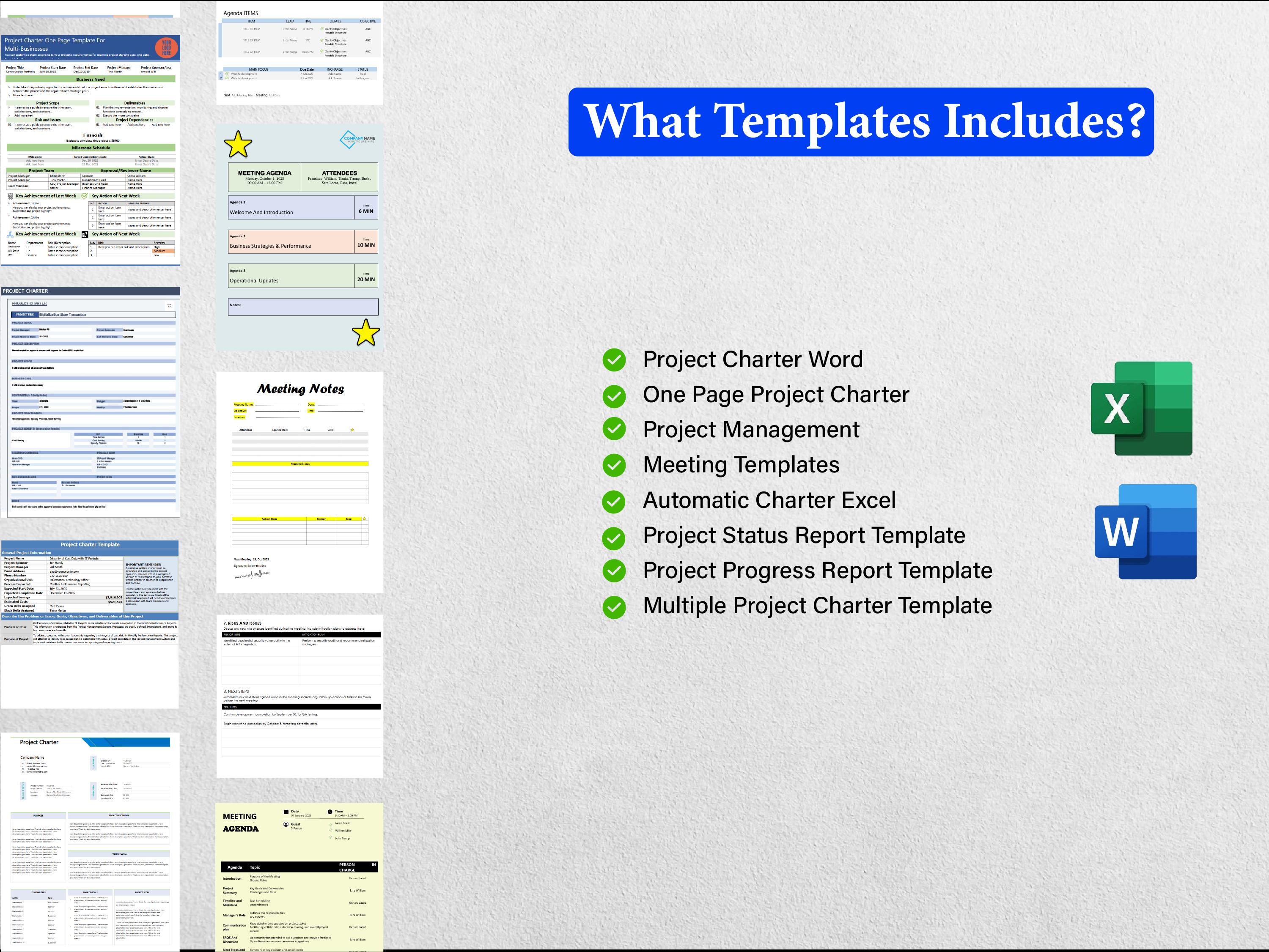 8+ Project Charter Templates MOT
