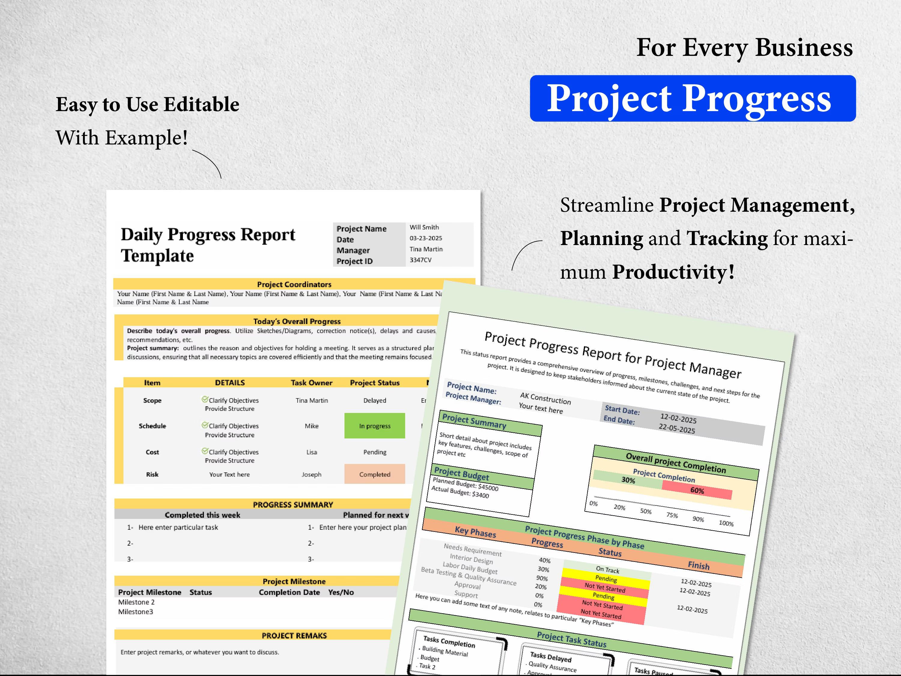 10+ Project Progress Bundle Templates