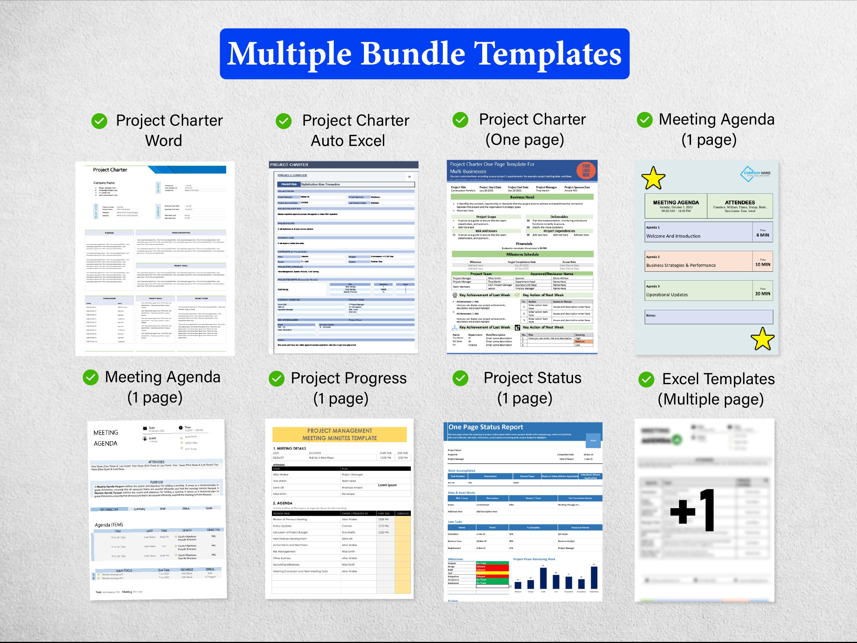 8+ Project Charter Templates MOT