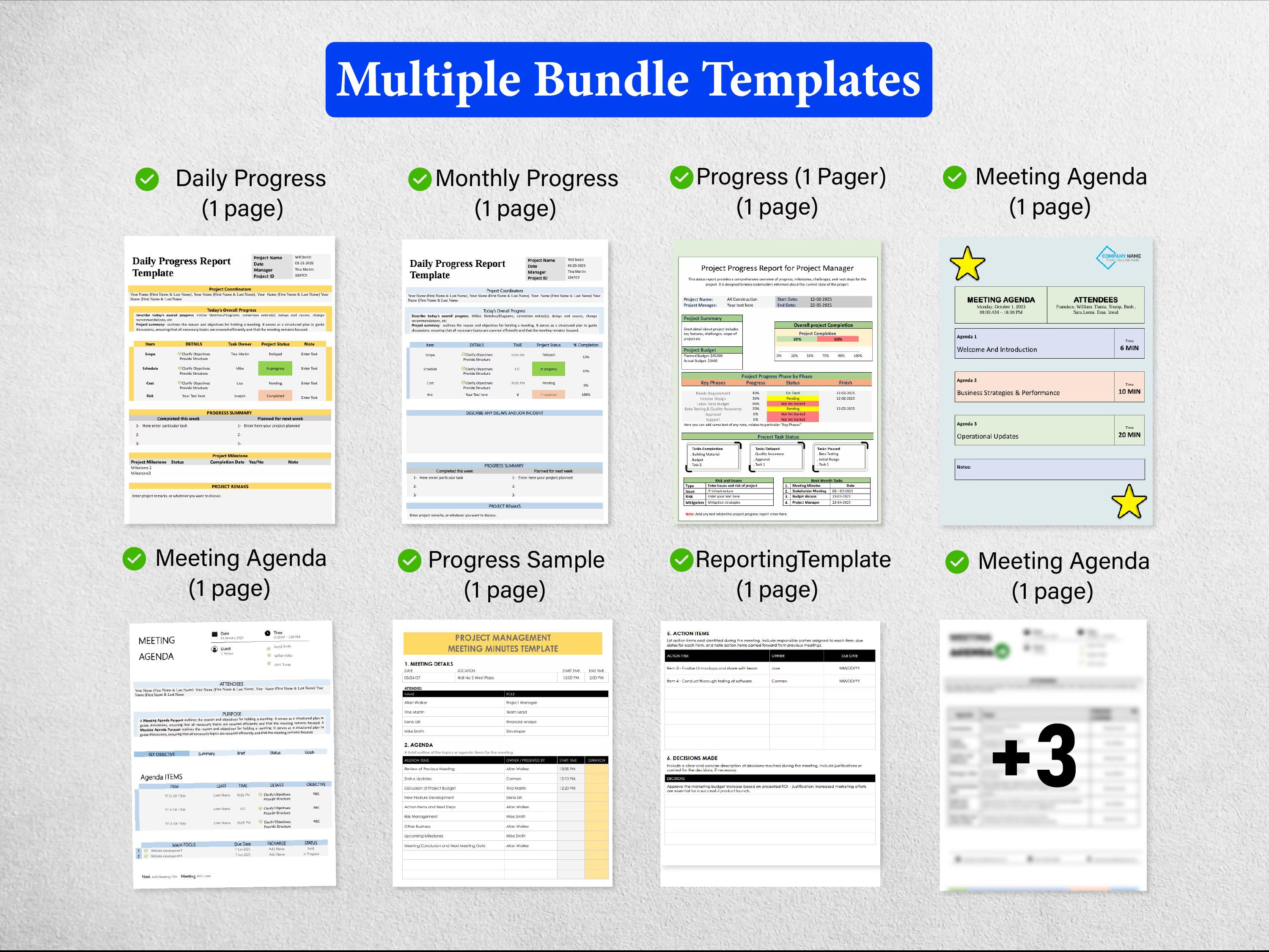 10+ Project Progress Bundle Templates