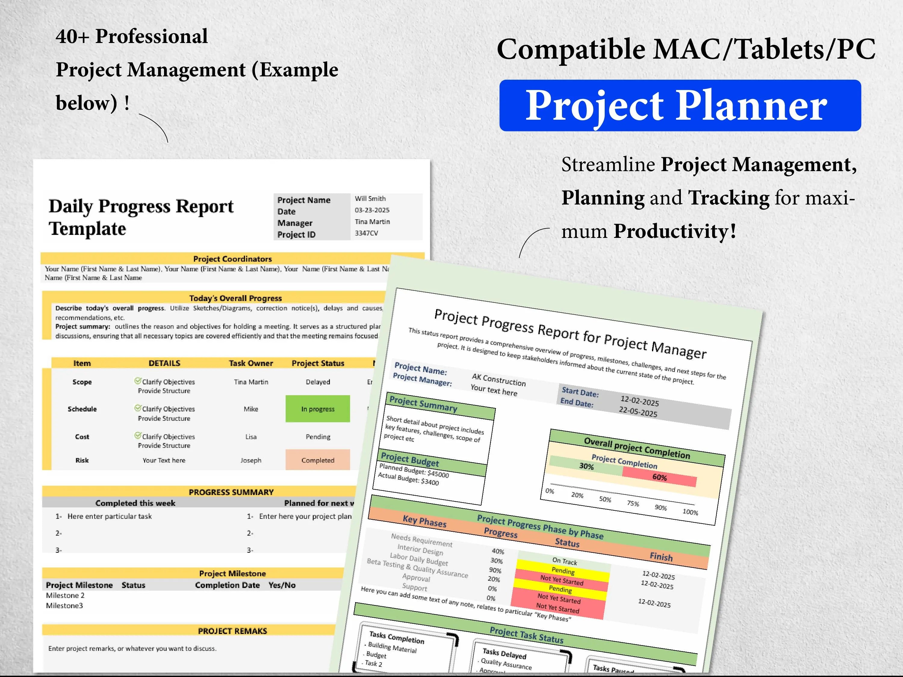250+ Ultimate Project Management Bundle
