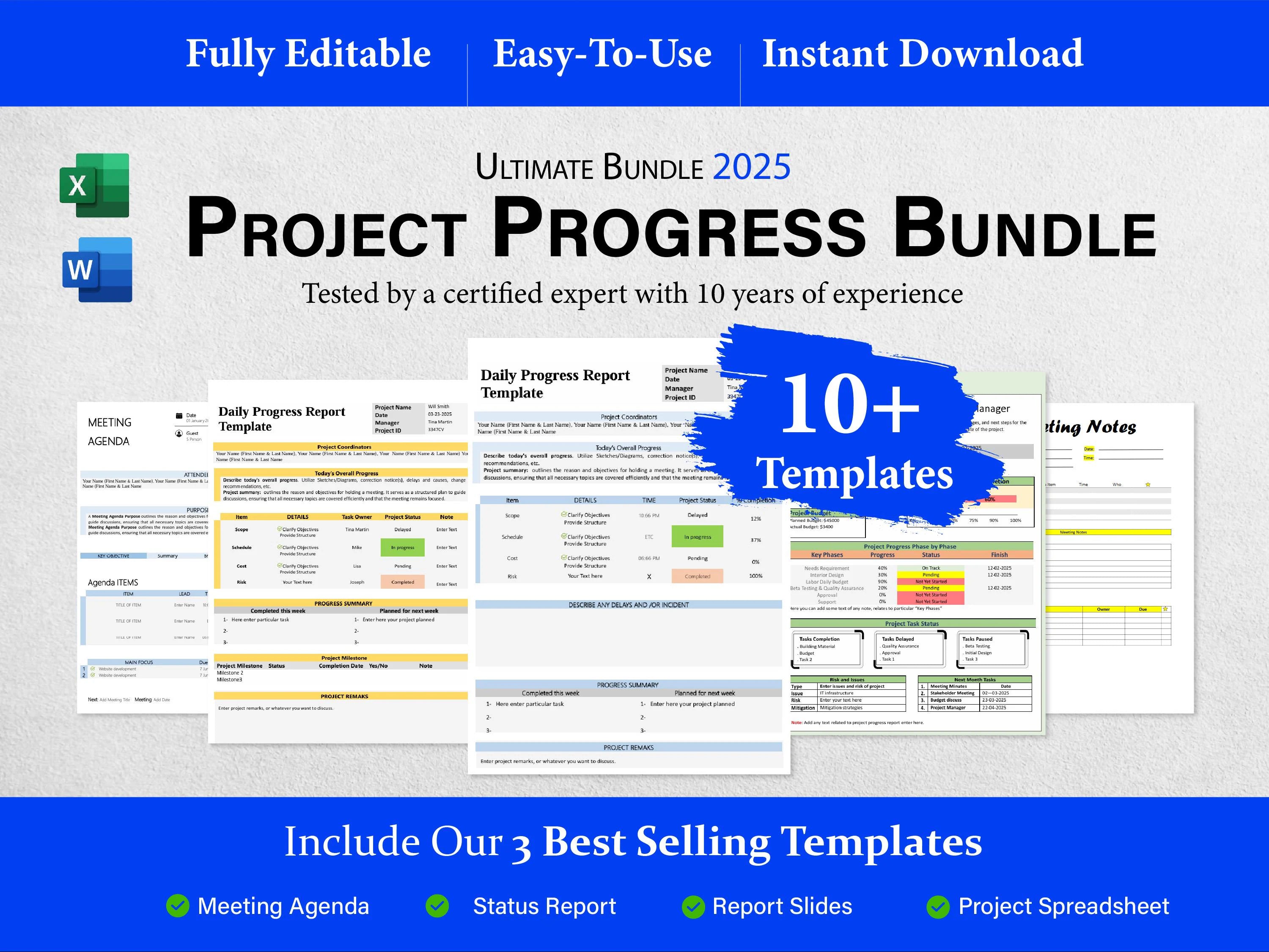 10+ Project Progress Bundle Templates