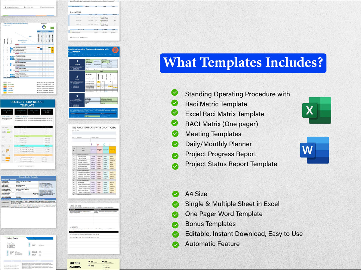 8+ RACI Matrix Templates Bundle