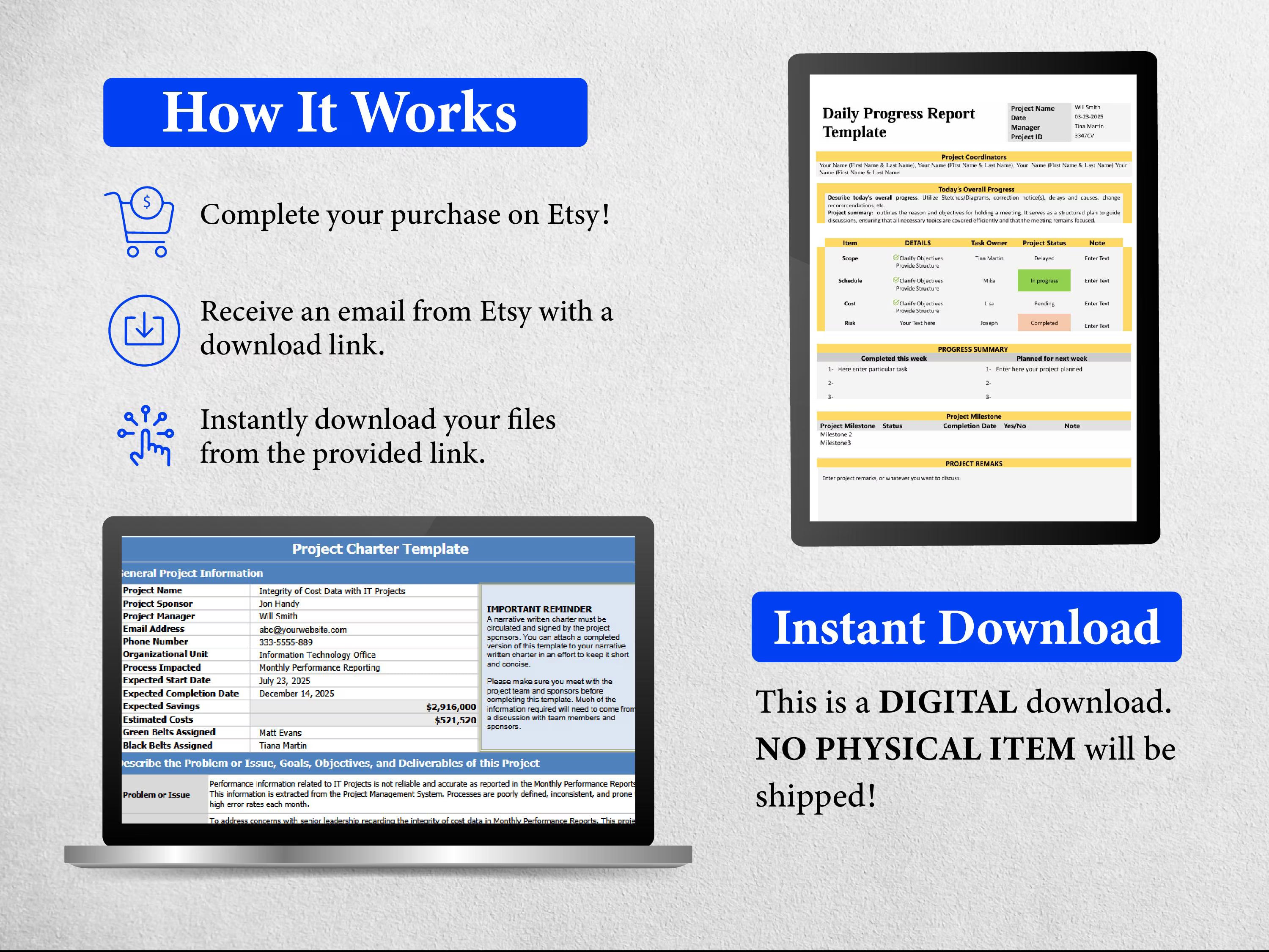 10+ Project Progress Bundle Templates