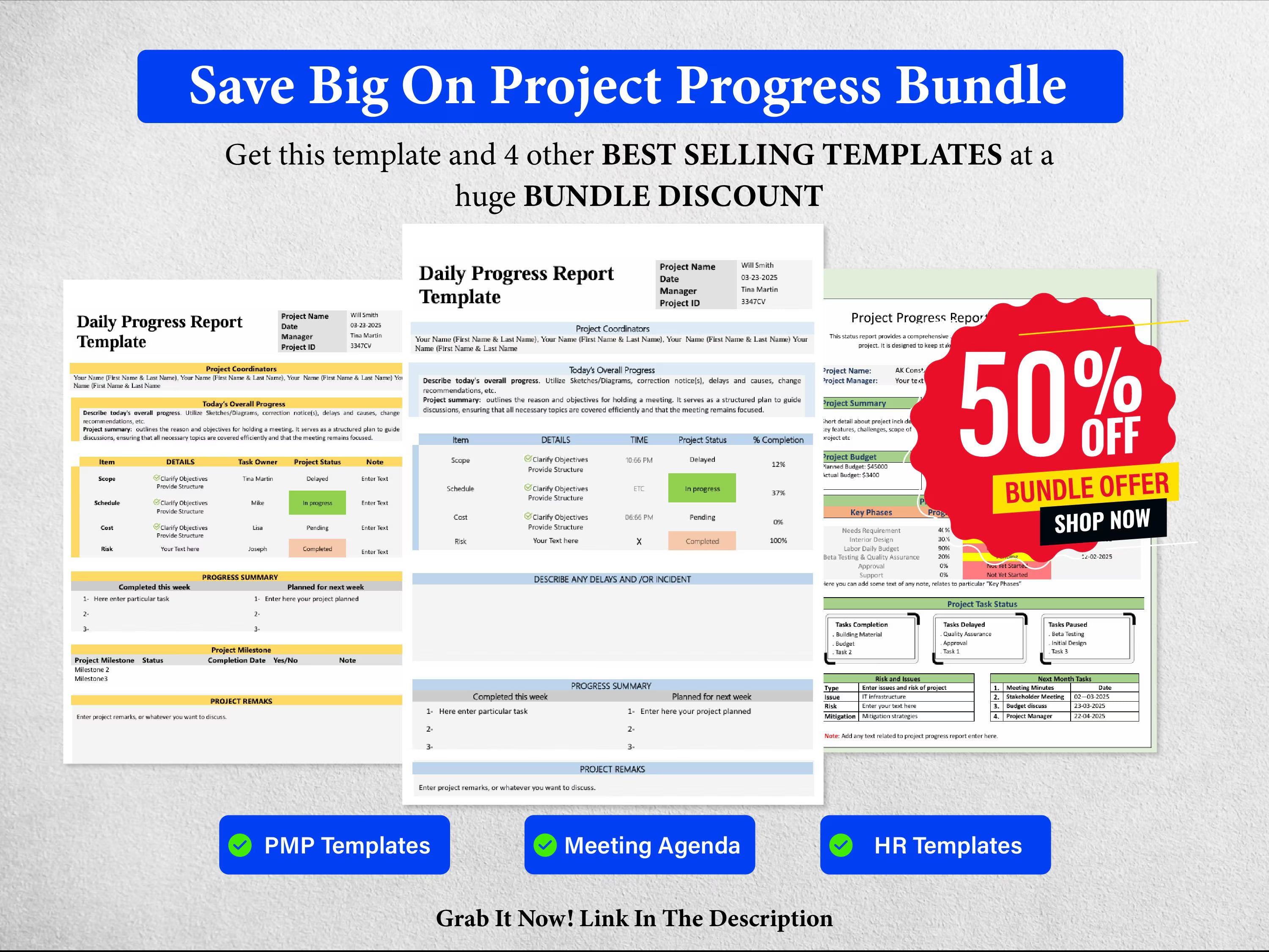 10+ Project Progress Bundle Templates