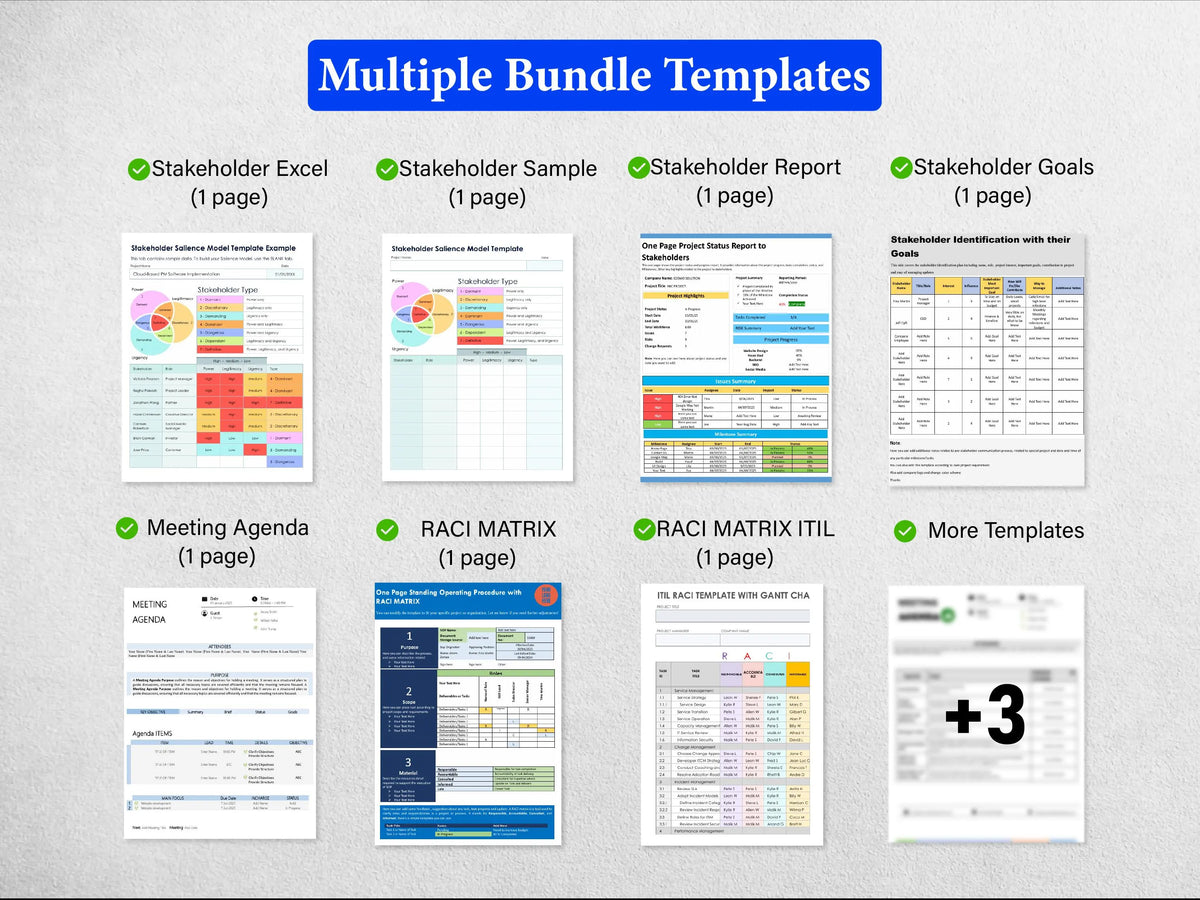 10+ Stakeholder management Bundle Templates
