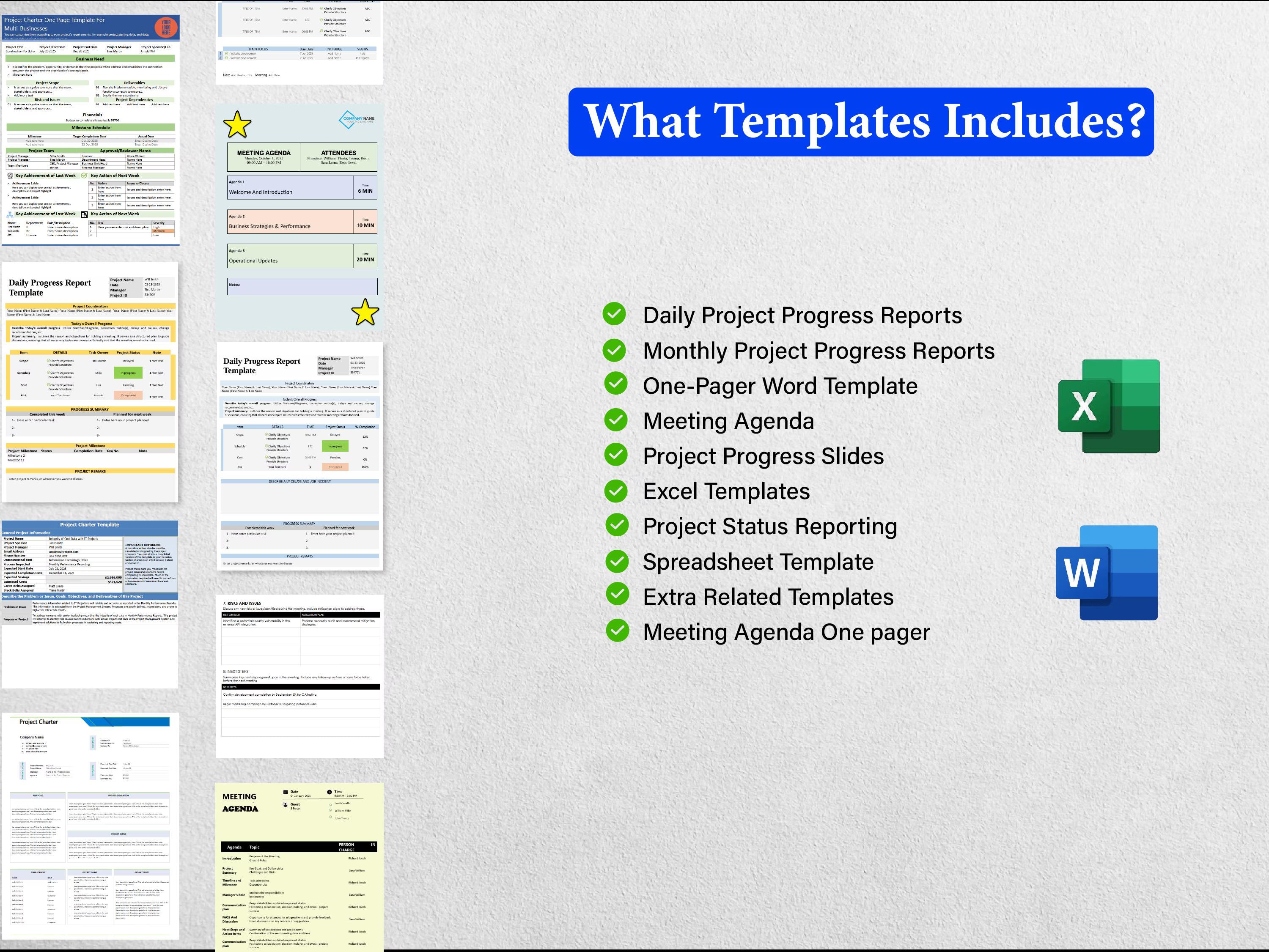 10+ Project Progress Bundle Templates